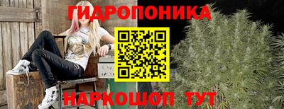 Альфа ПВП Канаш
