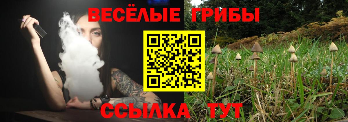 Галлюциногенные грибы Psilocybine cubensis  Галлюциногенные грибы Psilocybe  Вход с VPN  Кунгур 